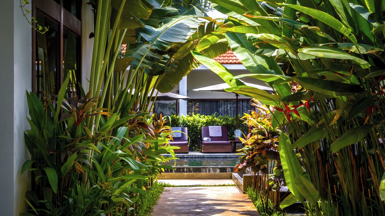 Photo of Outdoor in Siem Reap