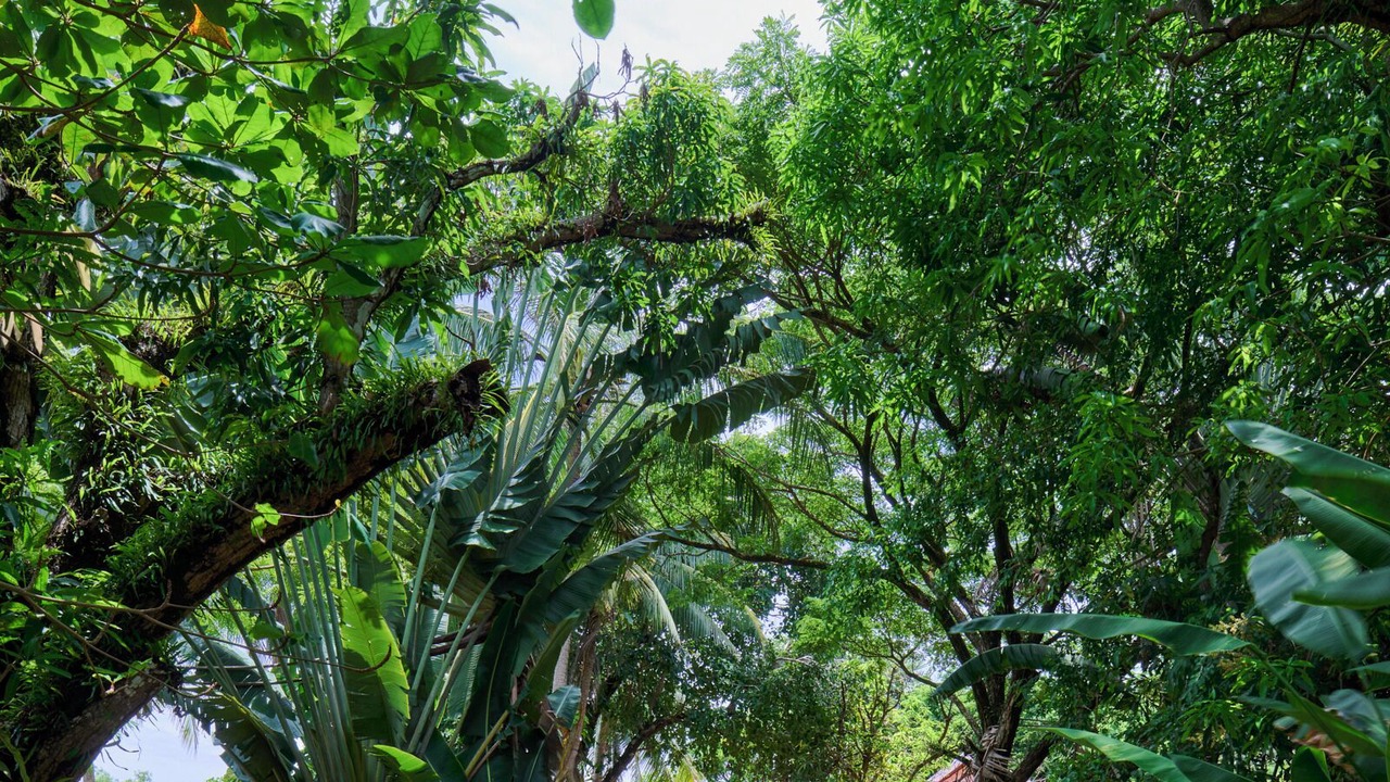 Photo of Outdoor in Kep