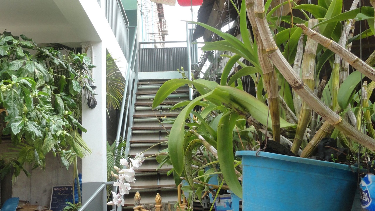 Photo of Outdoor in Siem Reap