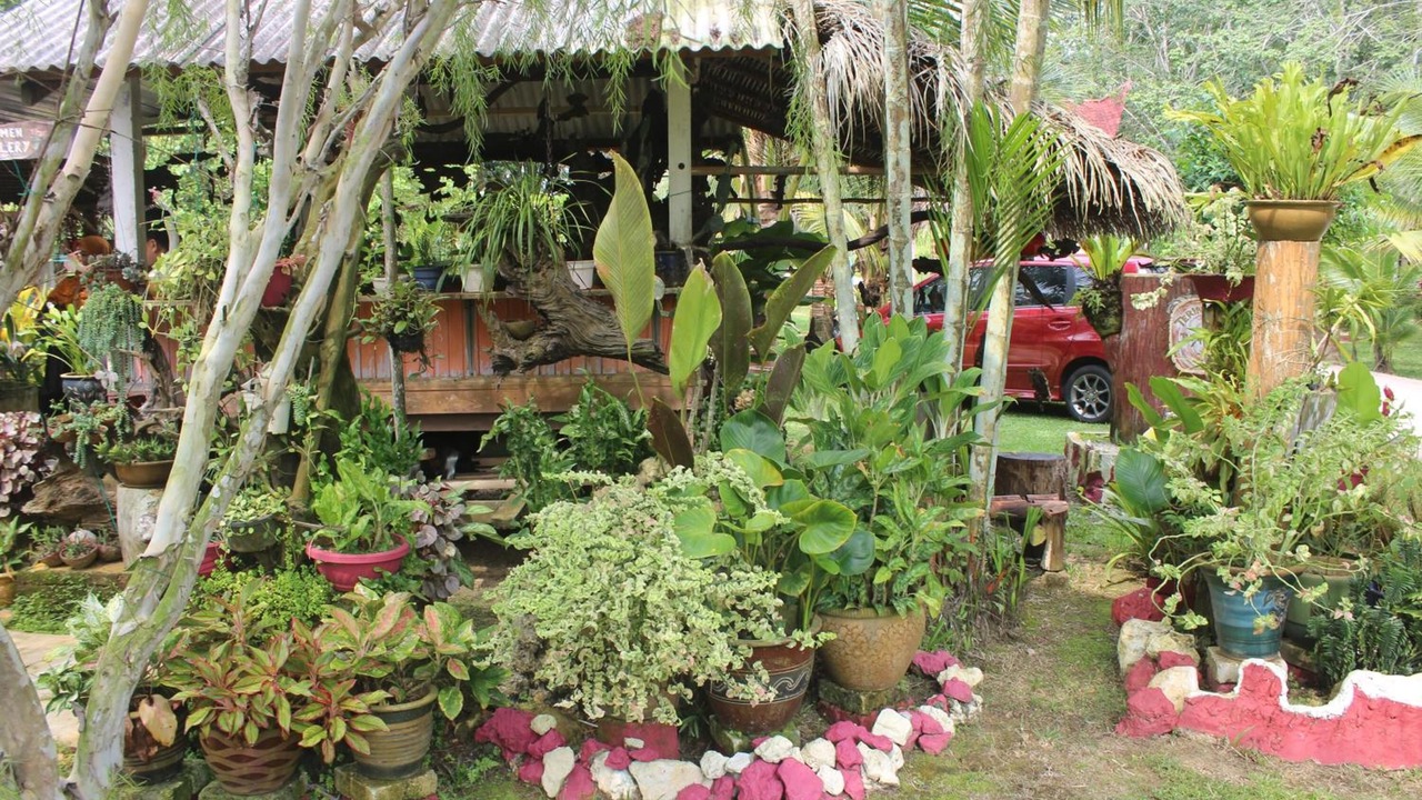 Photo of Outdoor in Taman Dato Haji Abdul Samad