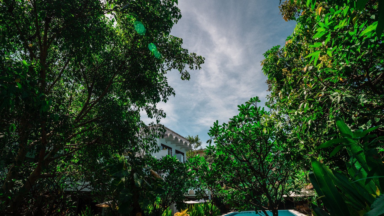 Photo of Outdoor in Chamkar Mon
