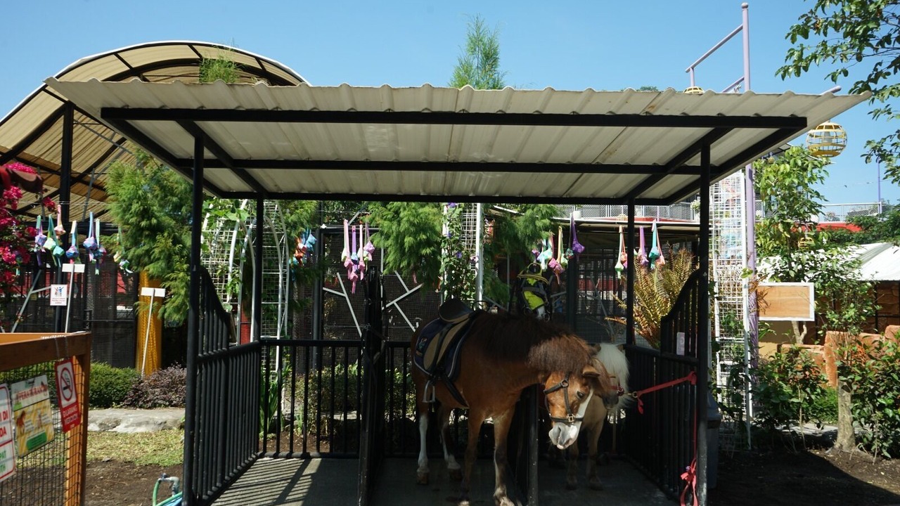 Photo of Others in Pakem