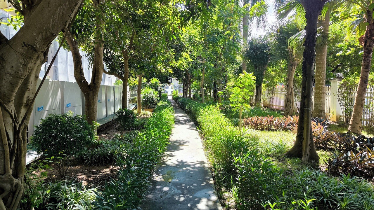 Photo of Outdoor in Him Lam