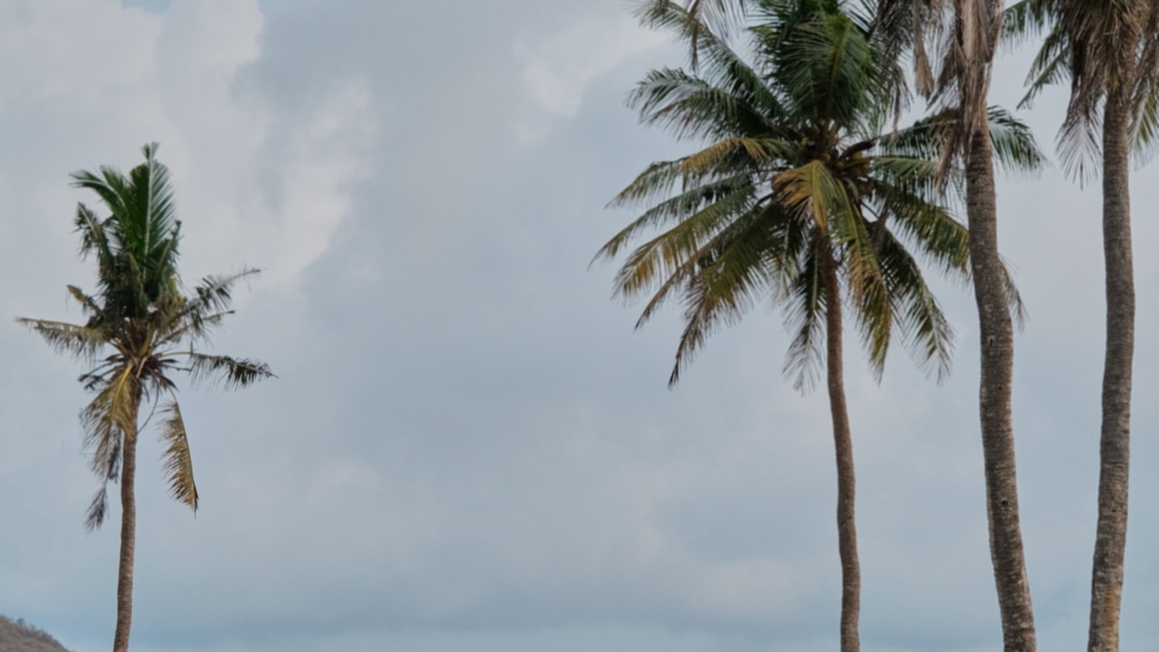 Photo of Others in Kuta