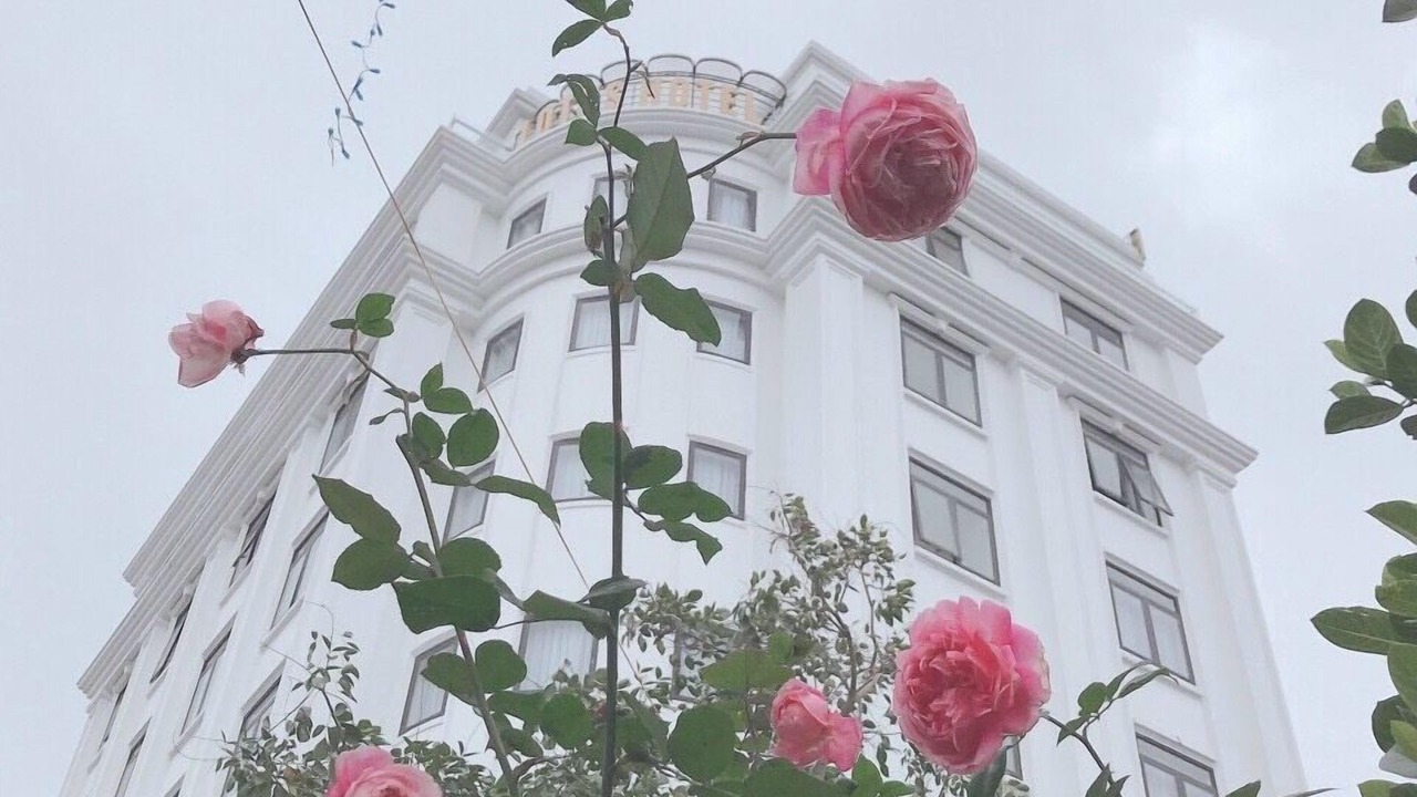 Photo of Outdoor in Ngo Quyen