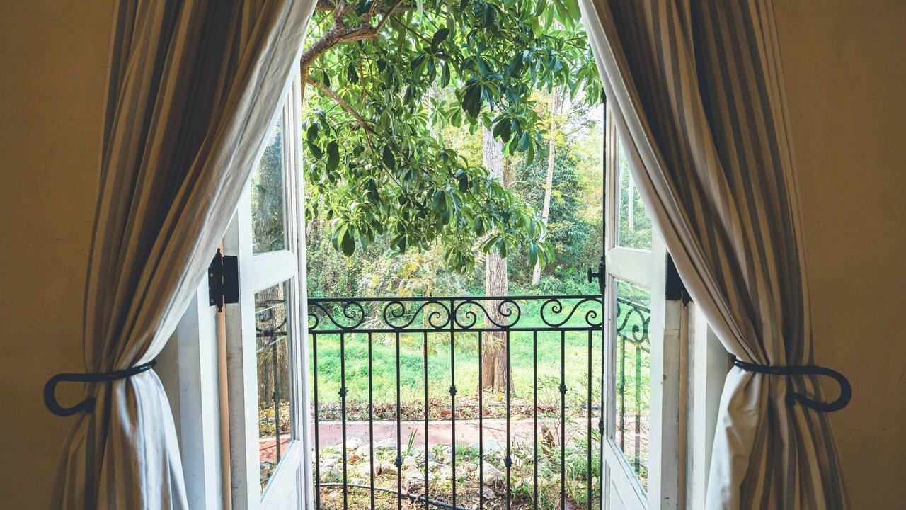 Photo of Bedroom in Wang Mi