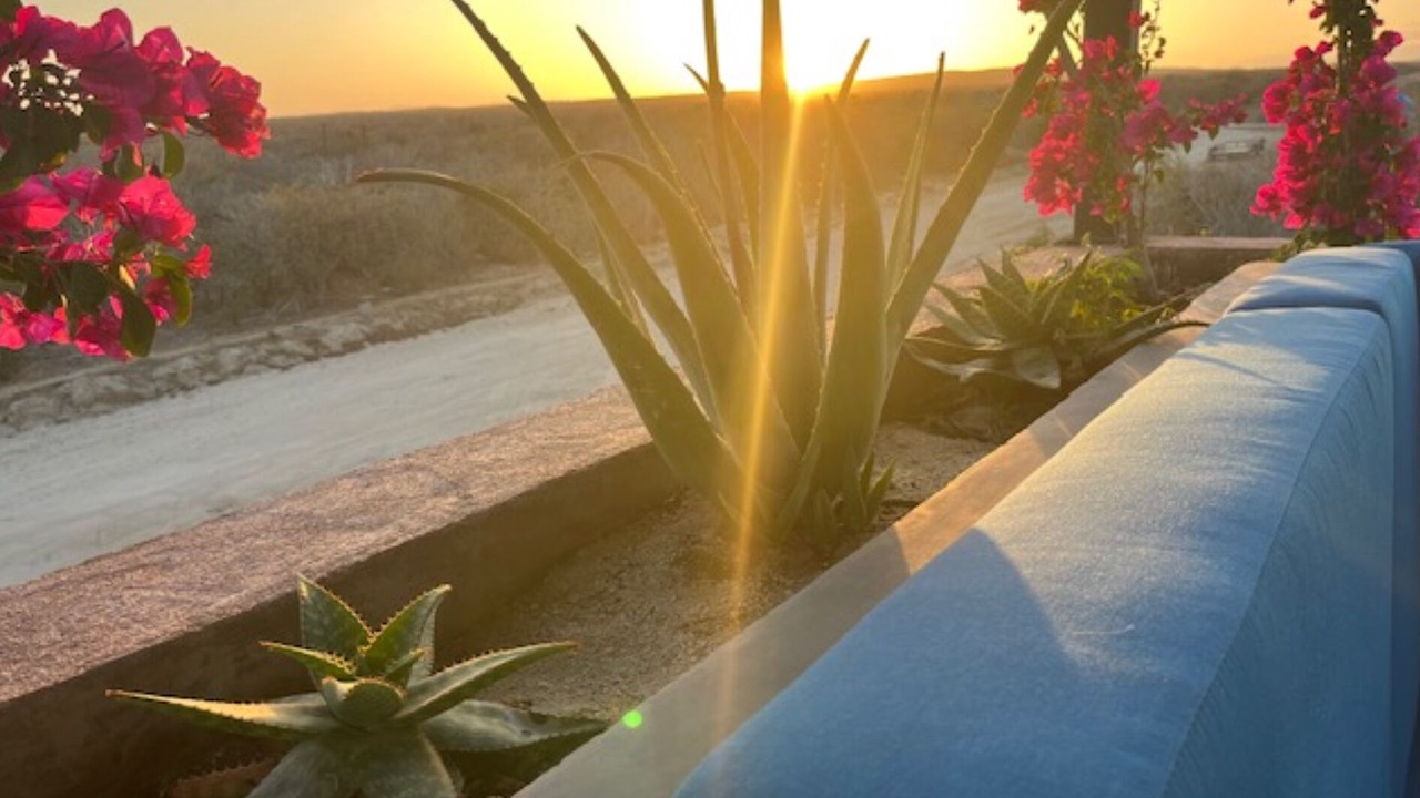 Photo of Outdoor in Los Cabos