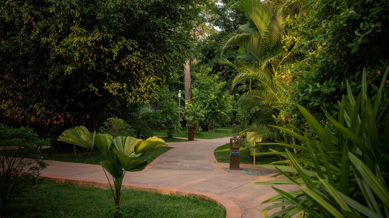 Photo of Outdoor in Siem Reap