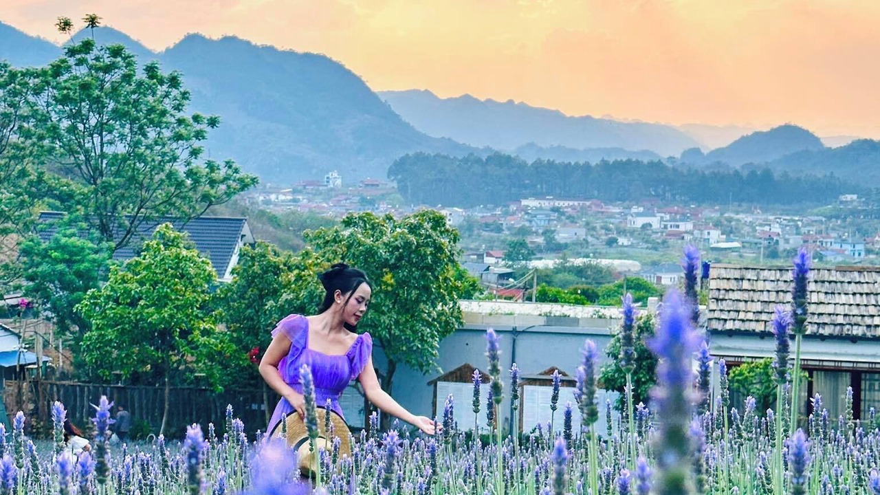 Photo of Outdoor in Moc Chau