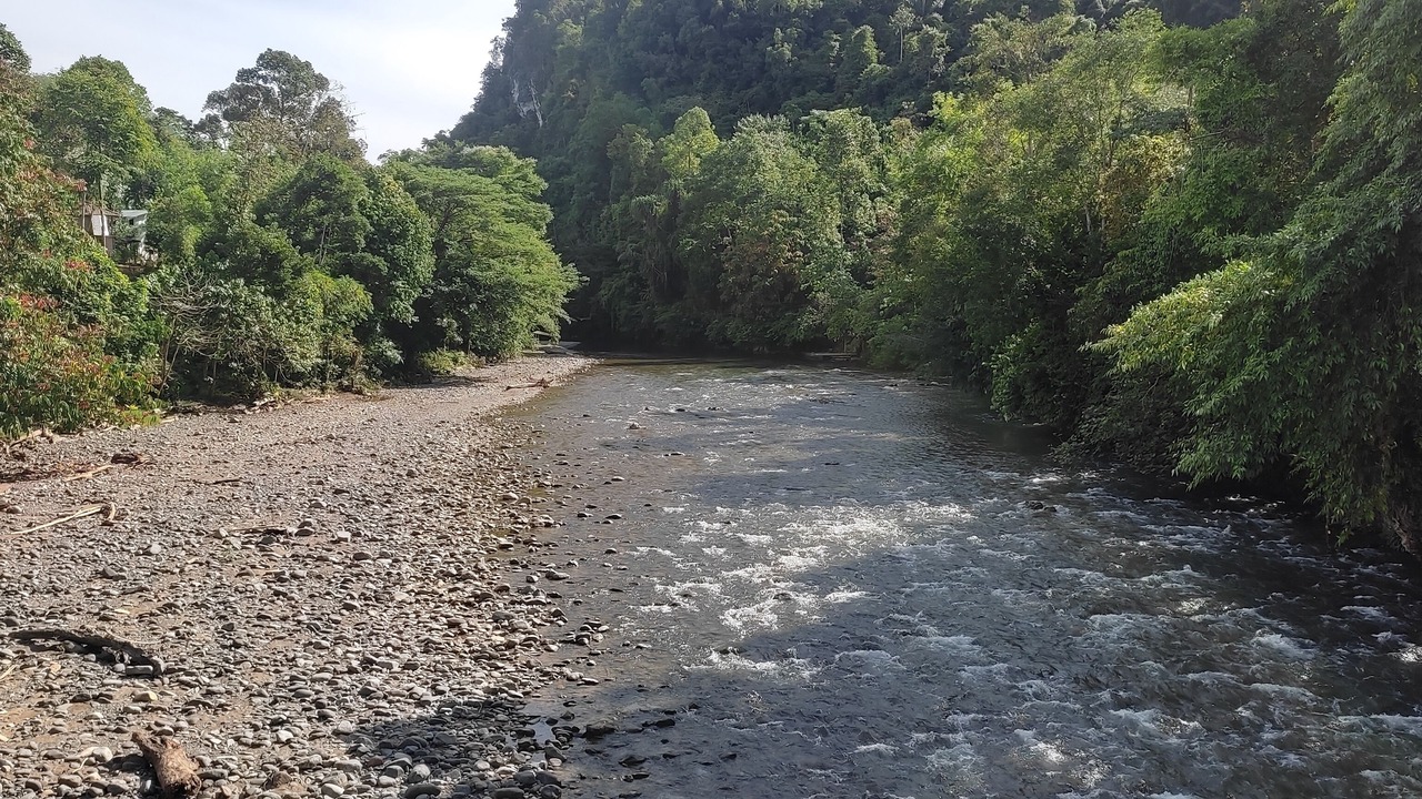 Photo of Outdoor in Bohorok