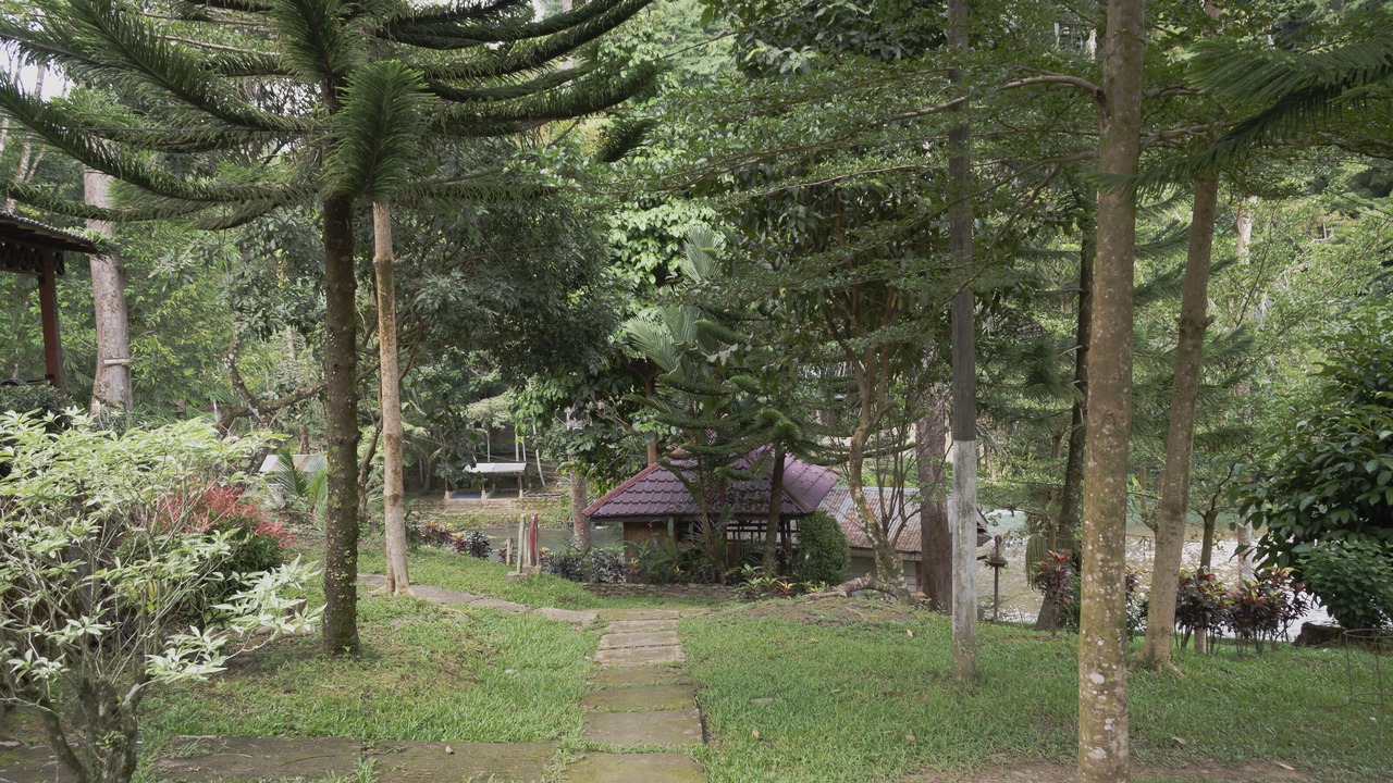 Photo of Outdoor in Bohorok