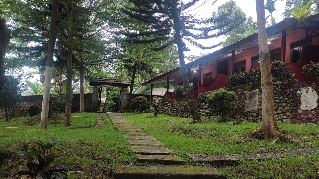 Photo of Outdoor in Bohorok