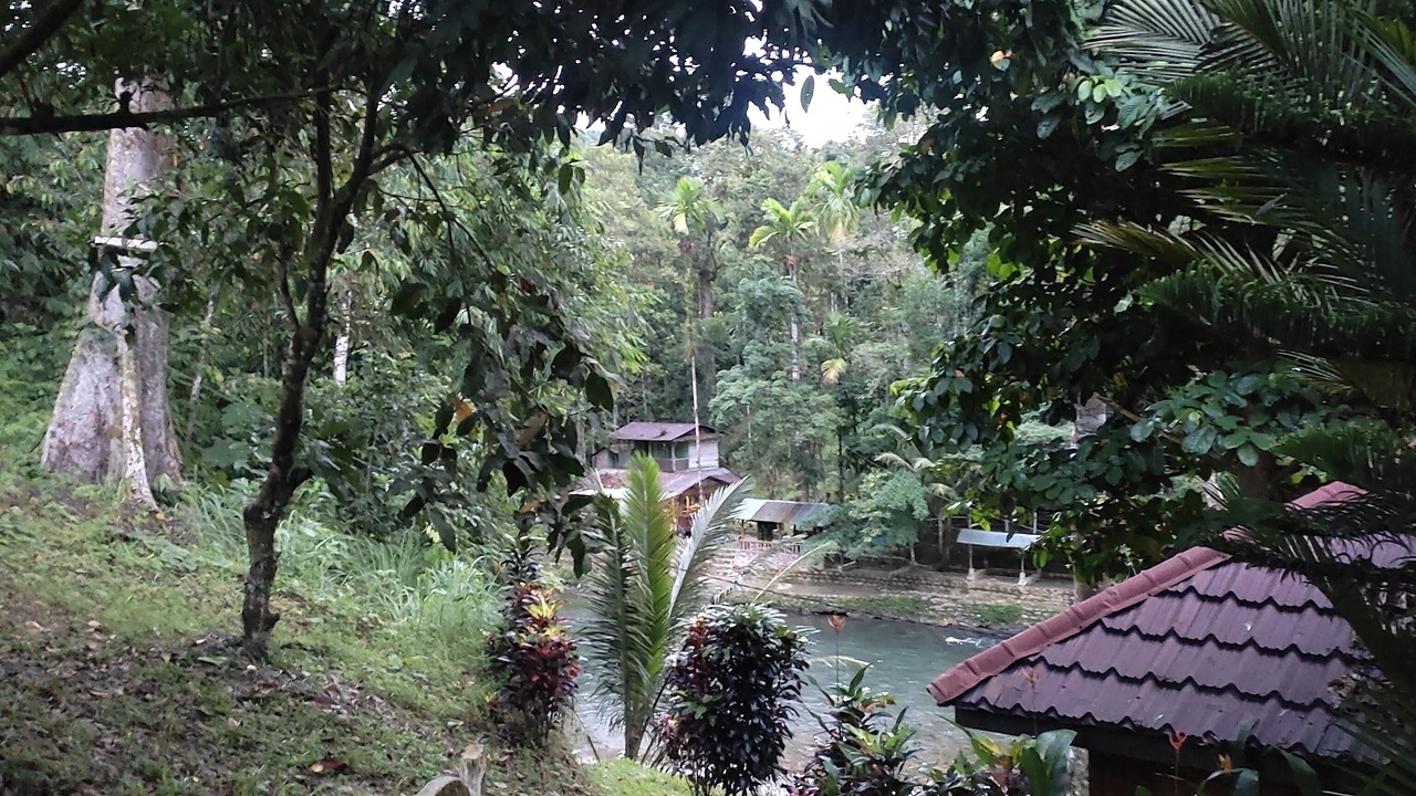 Photo of Outdoor in Bohorok