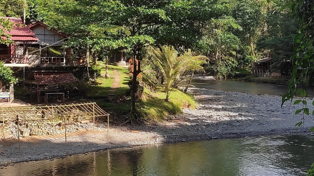 Photo of Outdoor in Bohorok