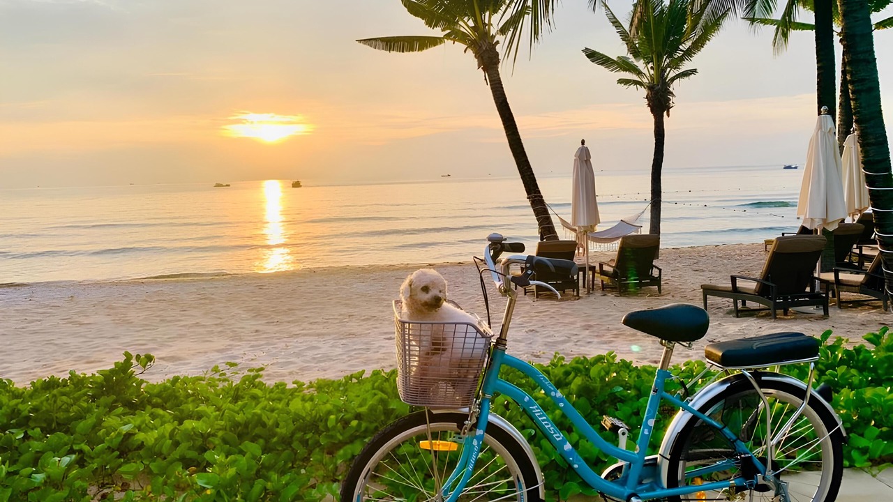 Photo of Outdoor in Duong To