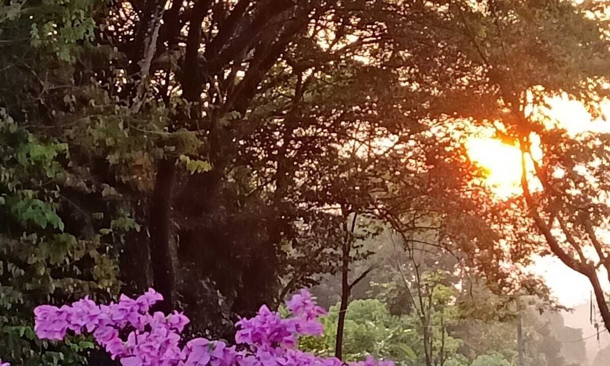 Photo of Outdoor in Ciamis