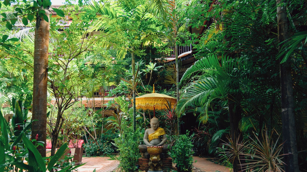 Photo of Outdoor in Siem Reap