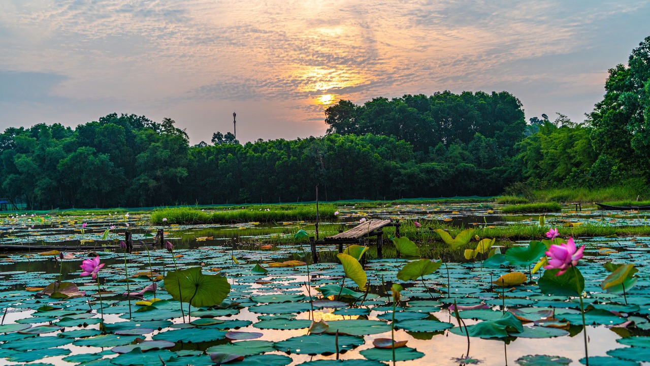 Photo of Outdoor in Hue
