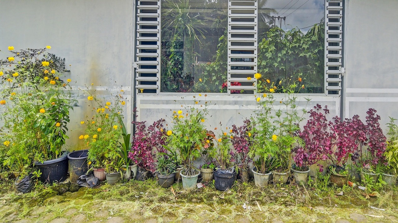 Photo of Outdoor in Tondano