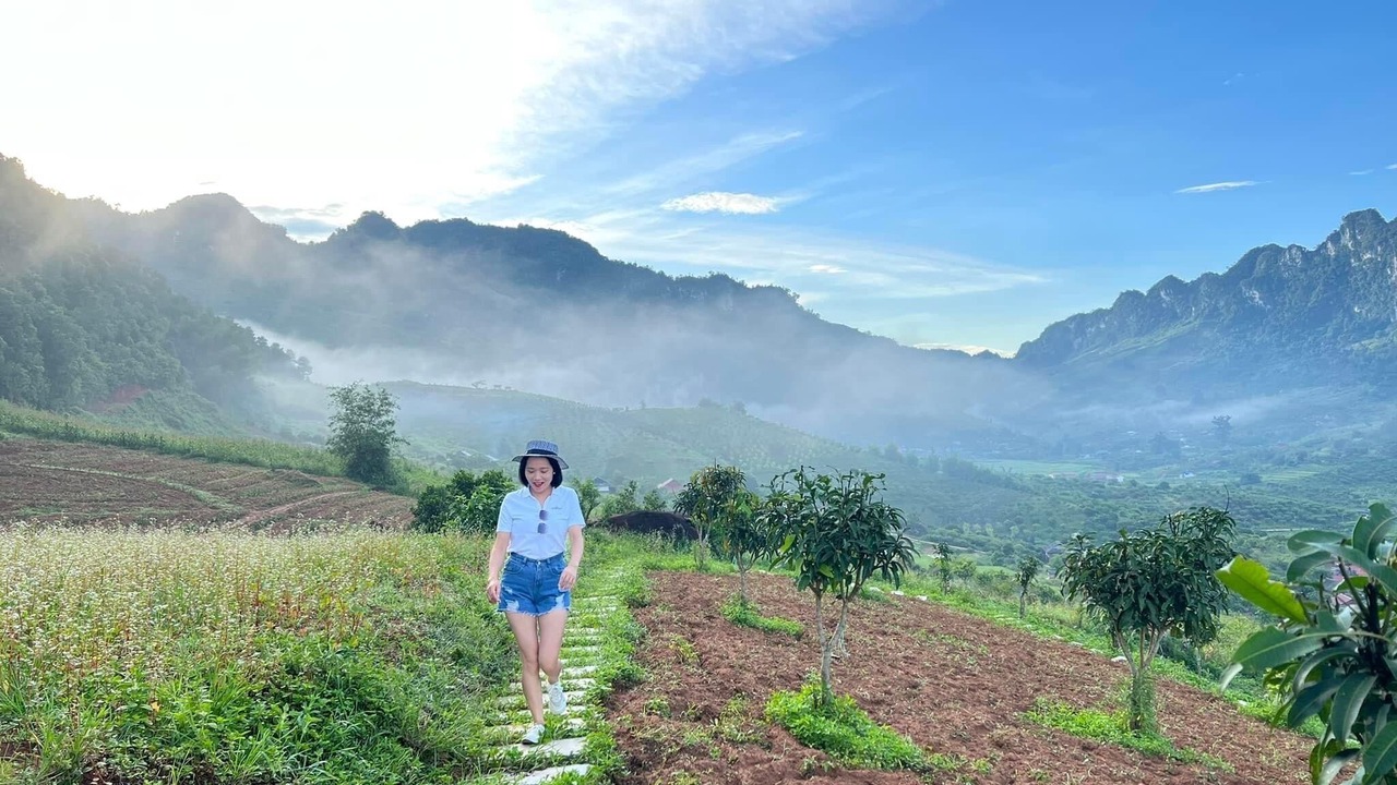Photo of Others in Moc Chau