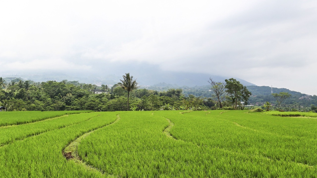 Photo of Others in Semarang