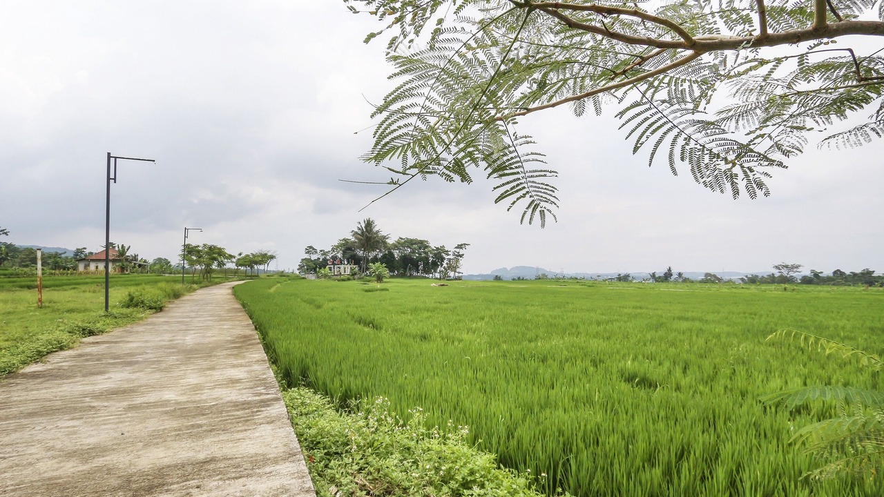 Photo of Others in Semarang