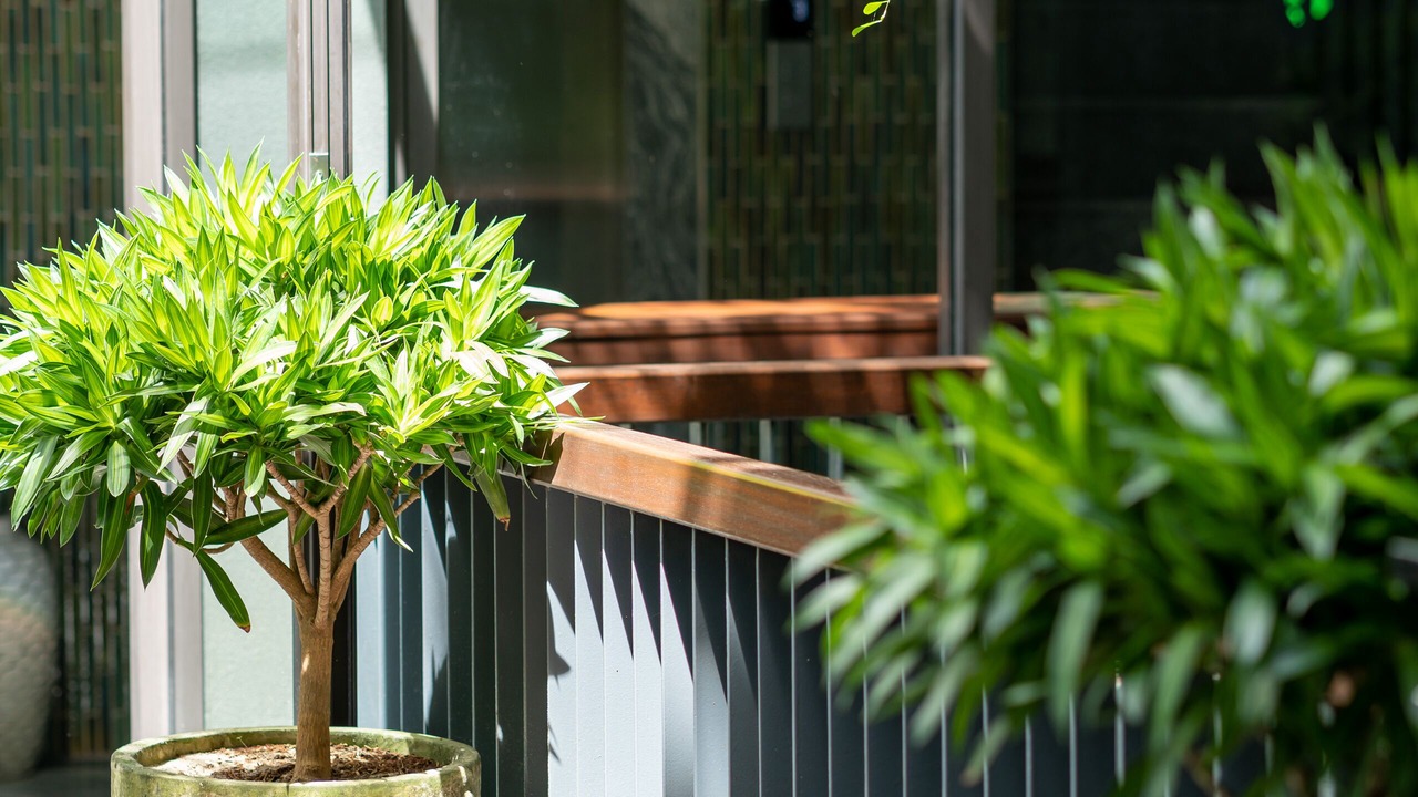 Photo of Outdoor in Cam An