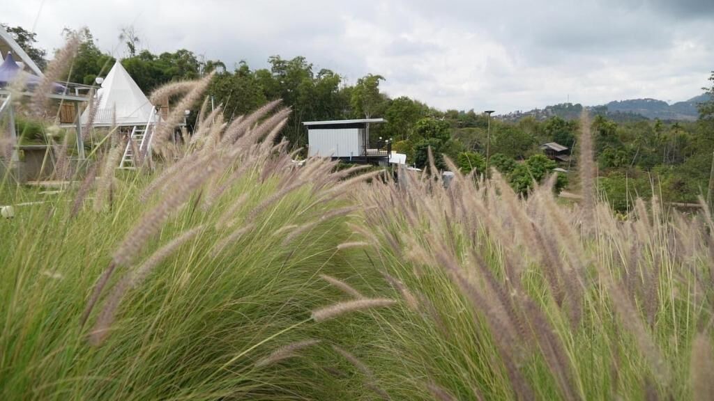 Photo of Outdoor in Khao Kho