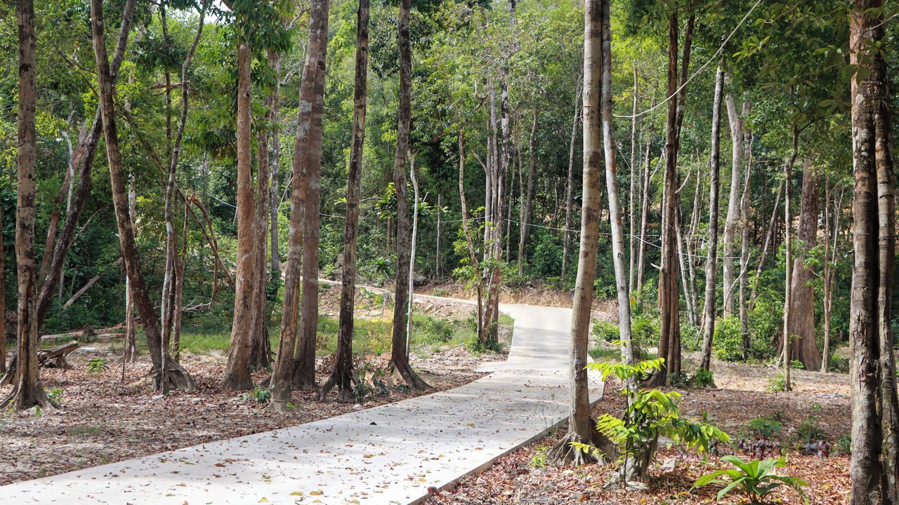 Photo of Others in Koh Rong Sanloem
