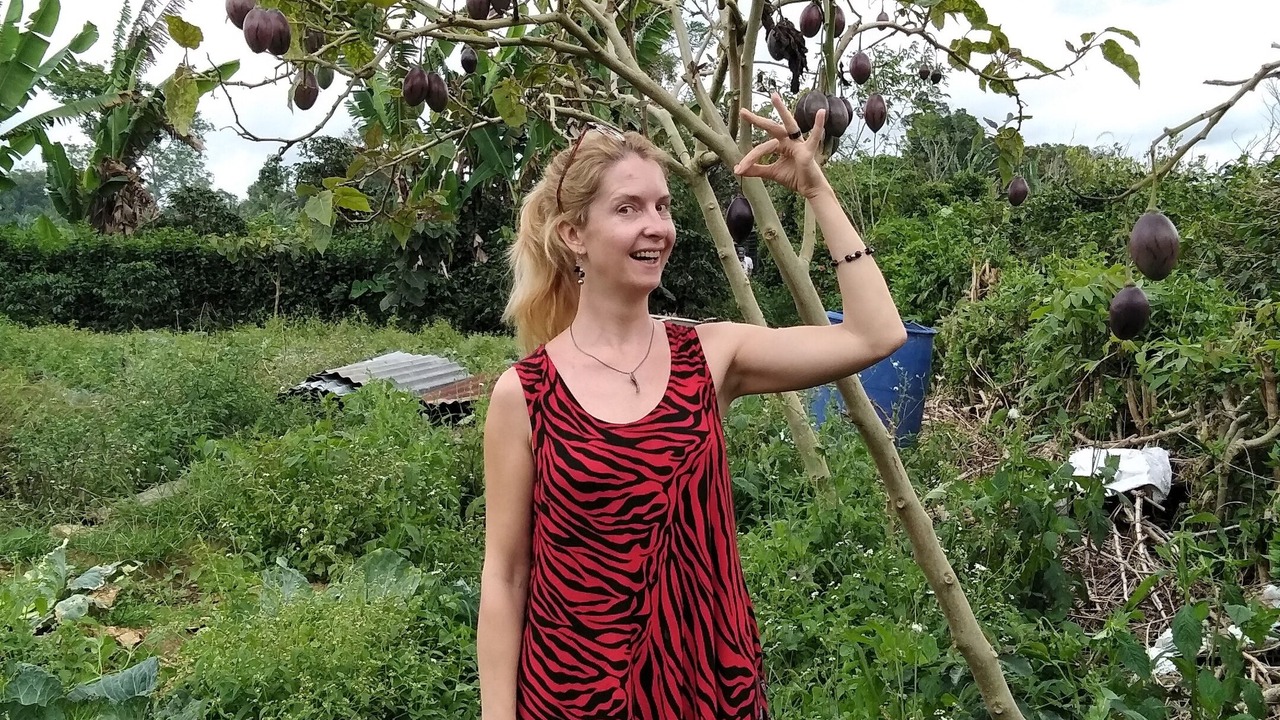 Photo of Outdoor in Berastagi