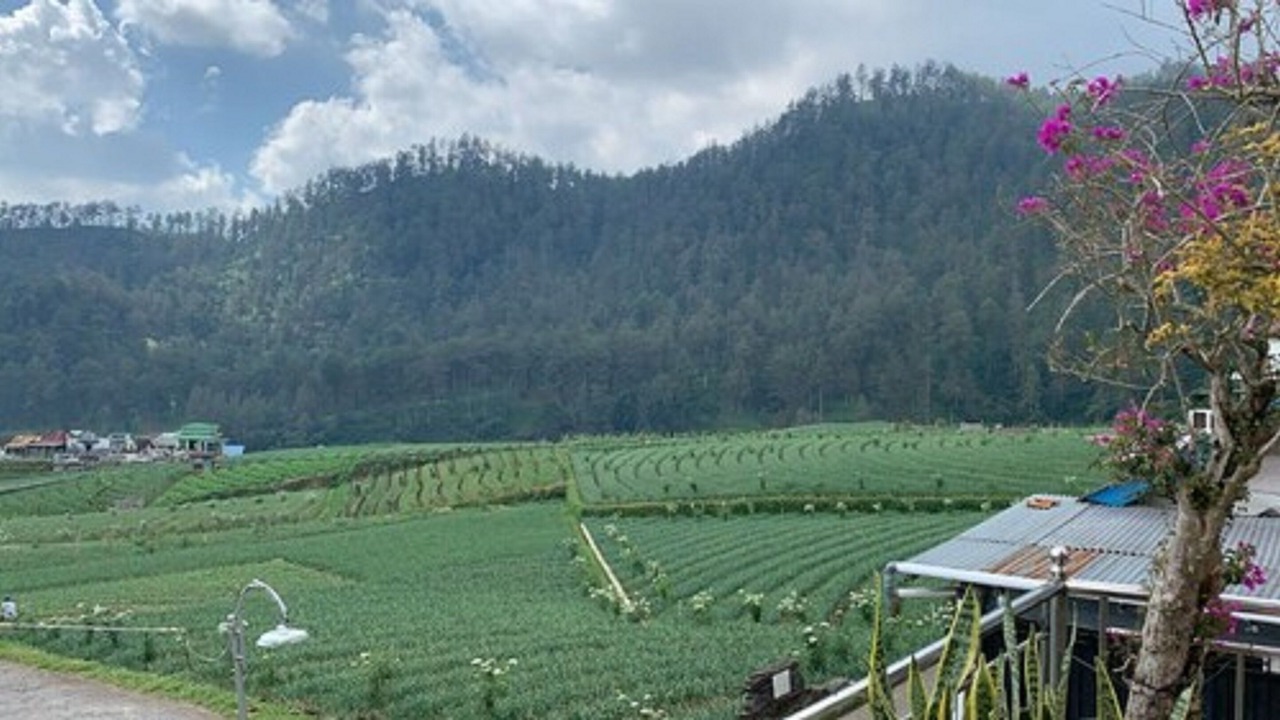 Photo of Others in Hargomulyo