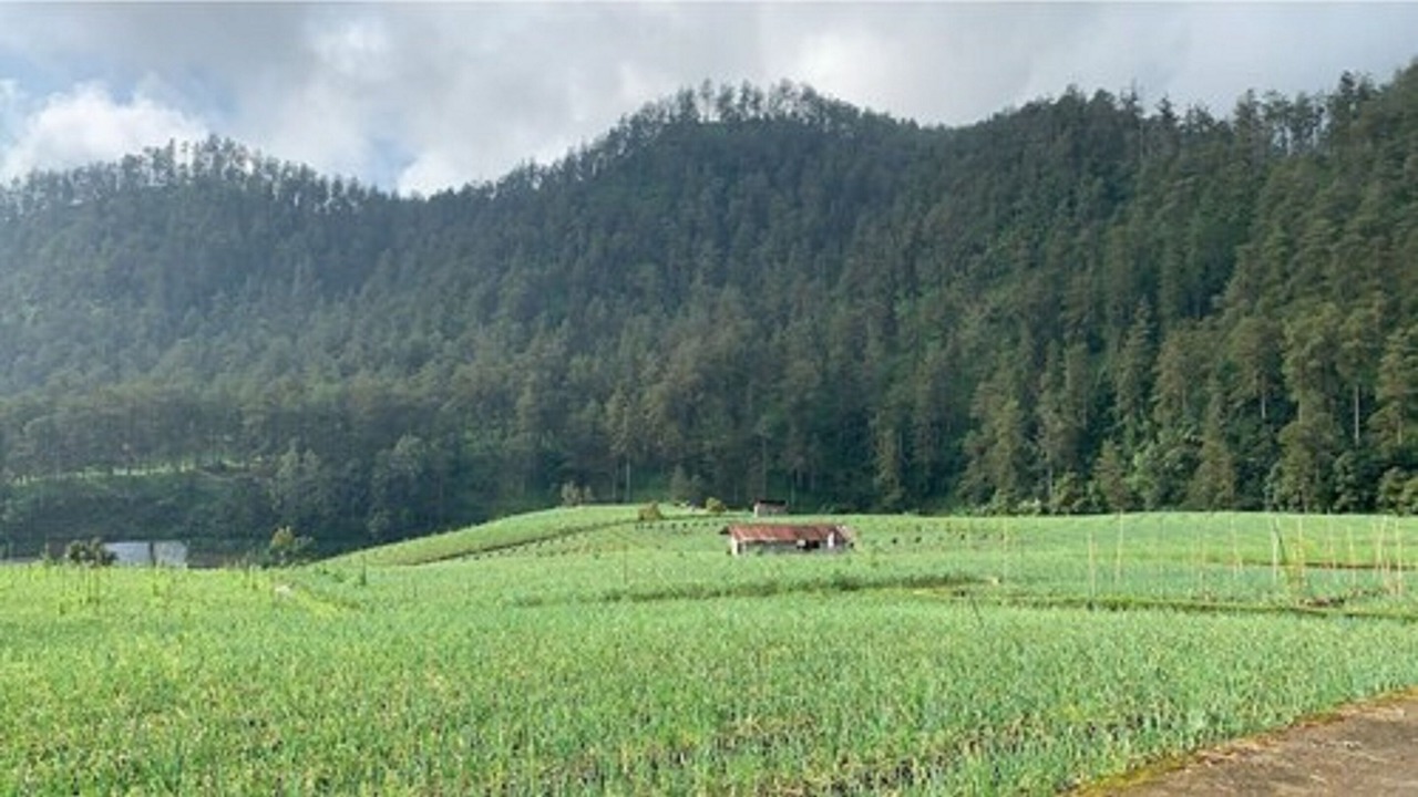 Photo of Others in Hargomulyo