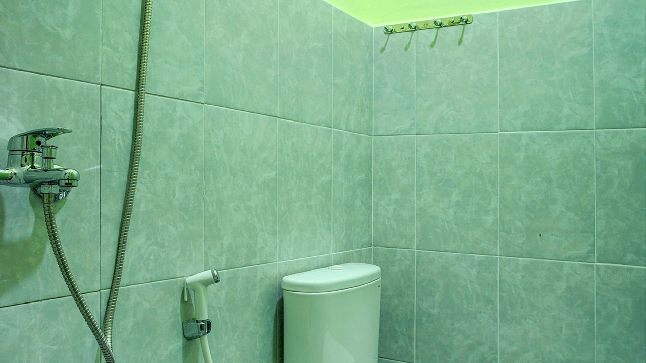 Photo of Bathroom in Parapat