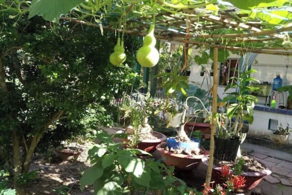 Photo of Outdoor in Giong Trom
