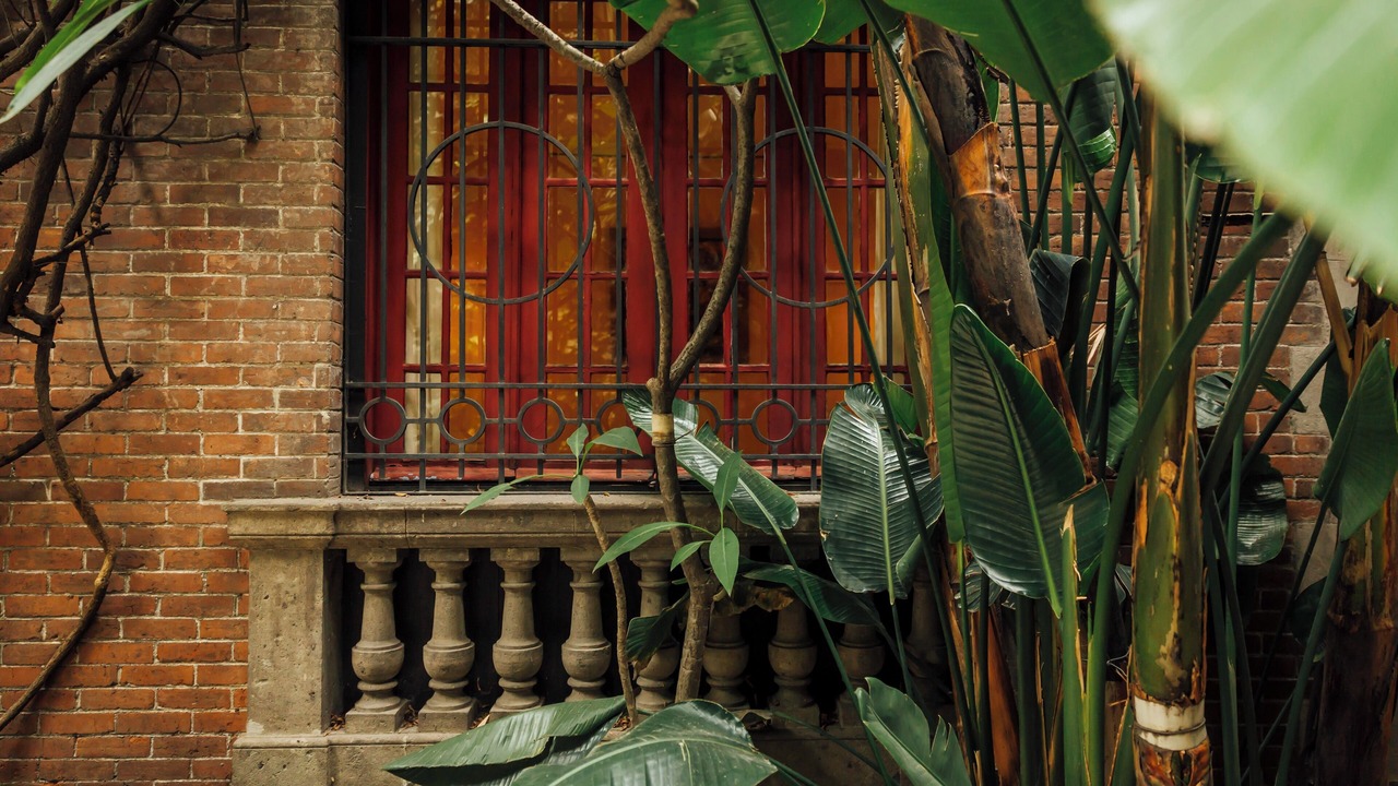 Photo of Outdoor in Roma Norte