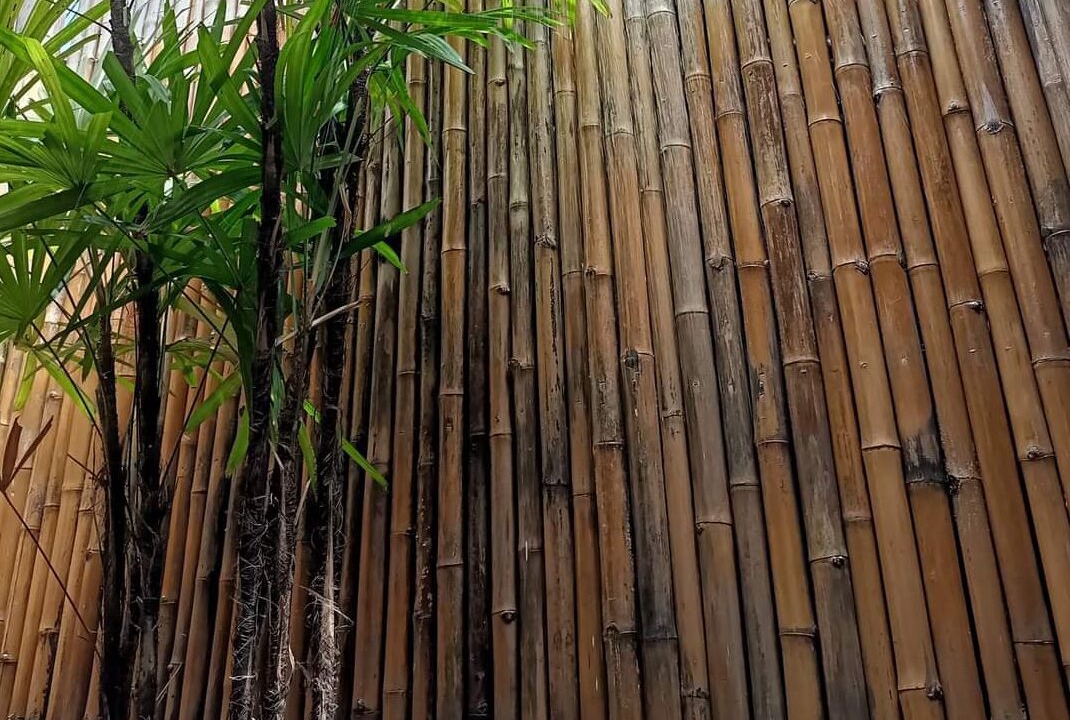 Photo of Bathroom in Surin