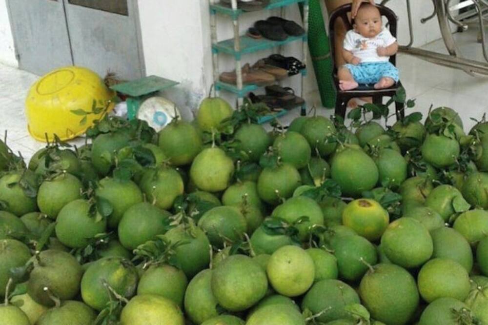 Photo of Others in Giong Trom