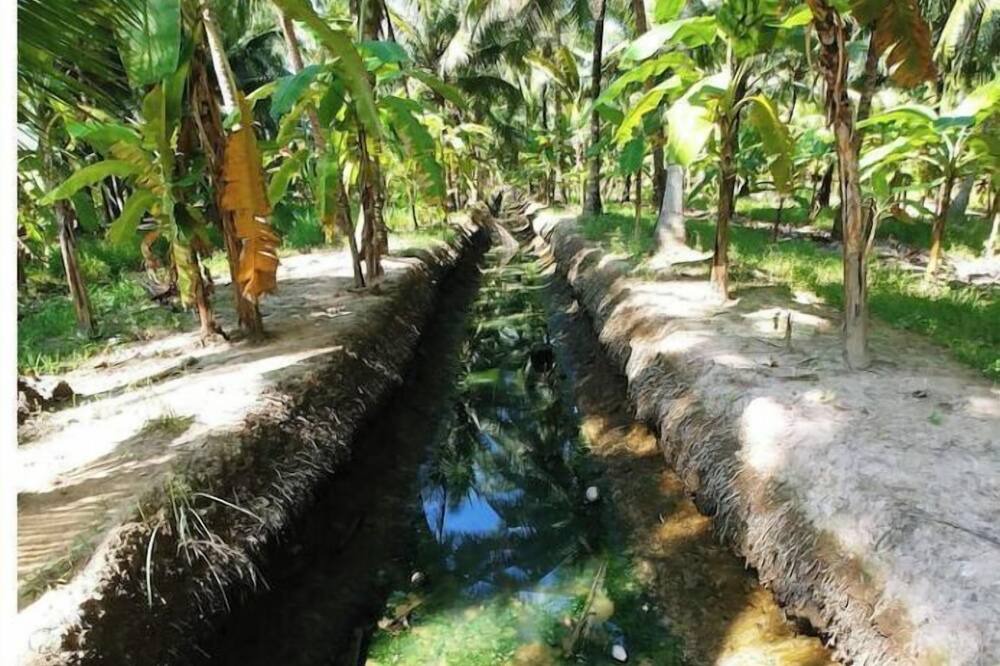 Photo of Outdoor in Giong Trom
