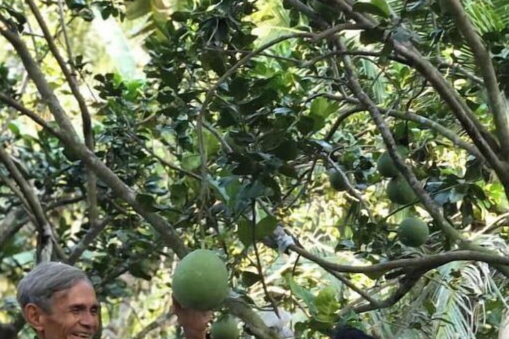 Photo of Outdoor in Giong Trom
