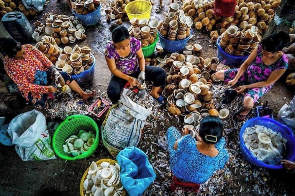 Photo of Others in Giong Trom