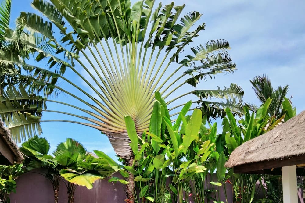 Photo of Outdoor in Padonan