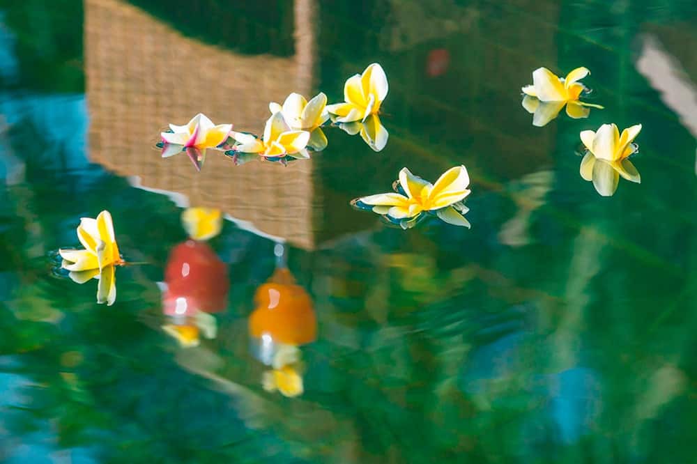 Photo of Outdoor in Melaya