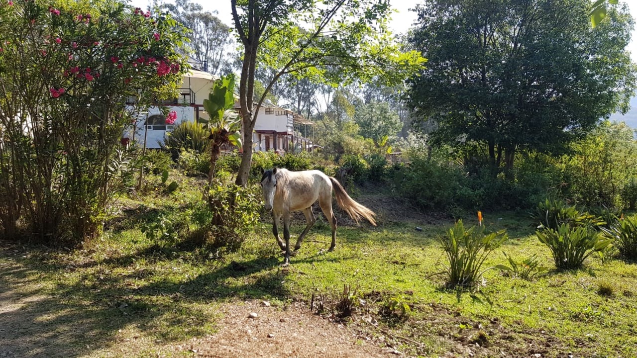 Photo of Others in El Santuario