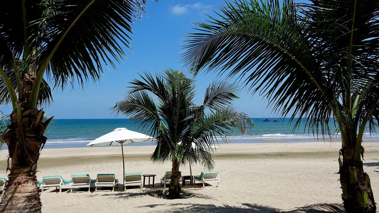 Photo of Others in Suoi Nuoc Beach