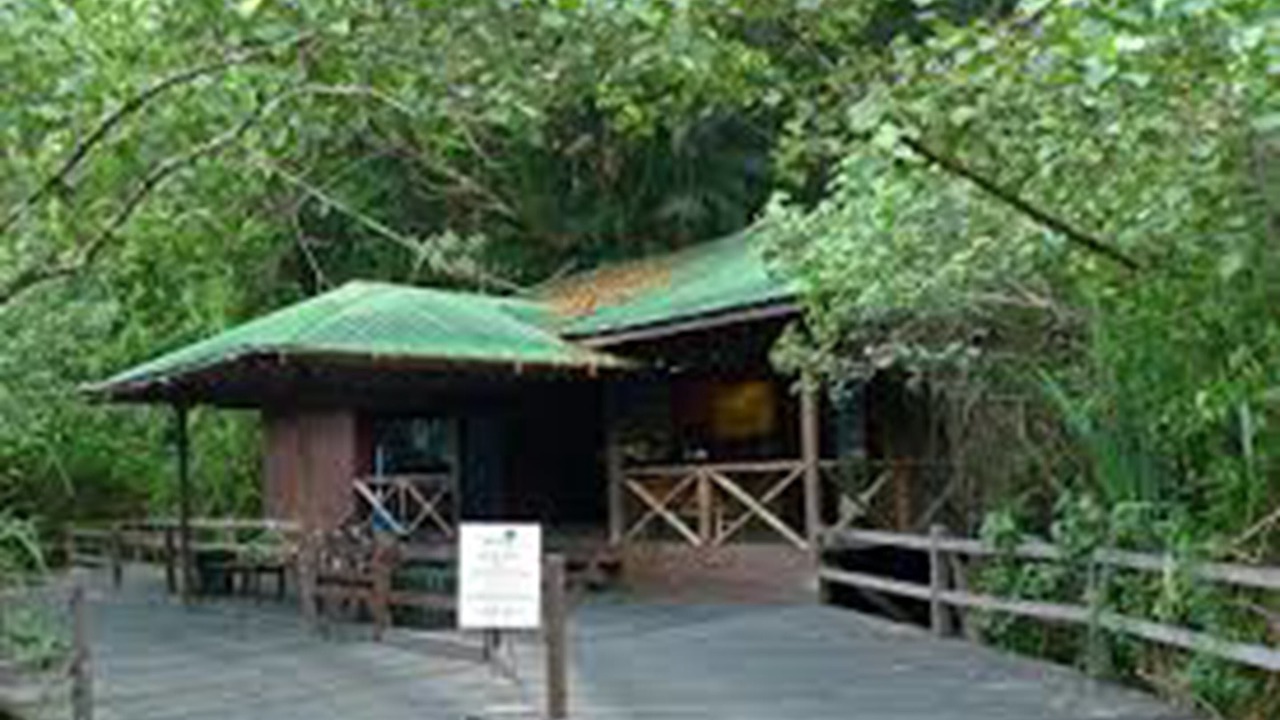 Photo of Others in Santubong