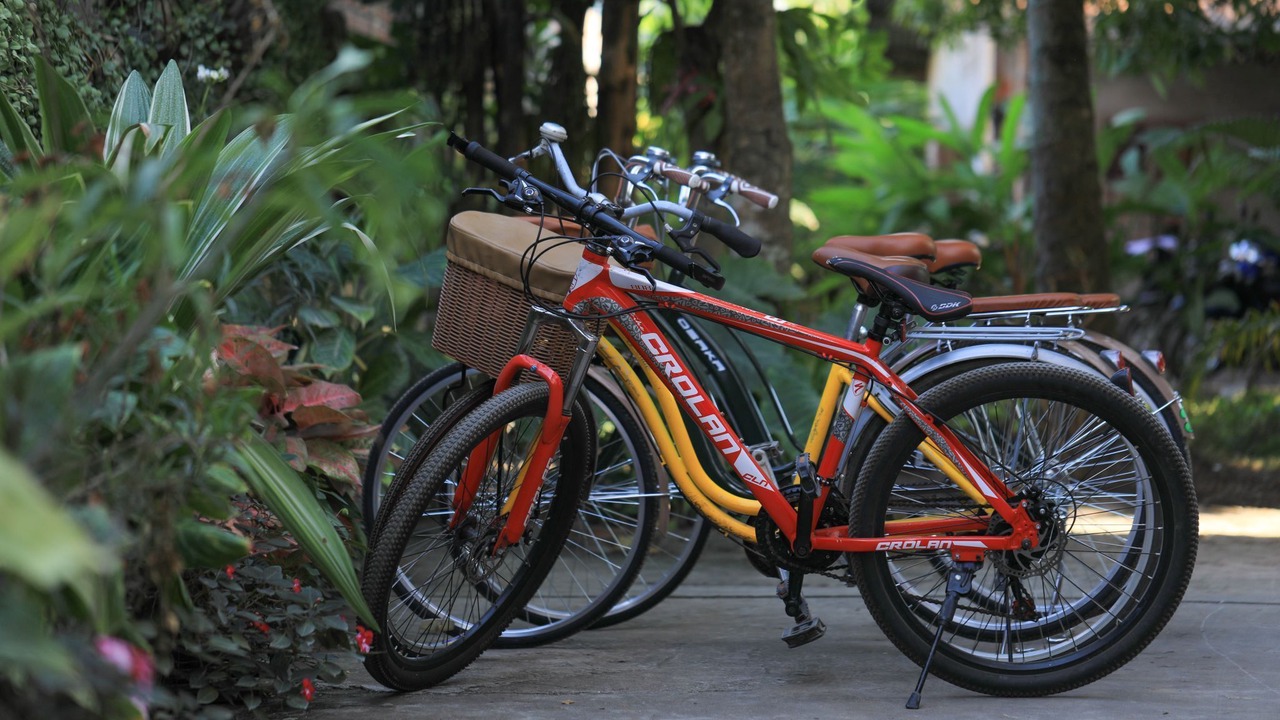 Photo of Outdoor in Luang Prabang