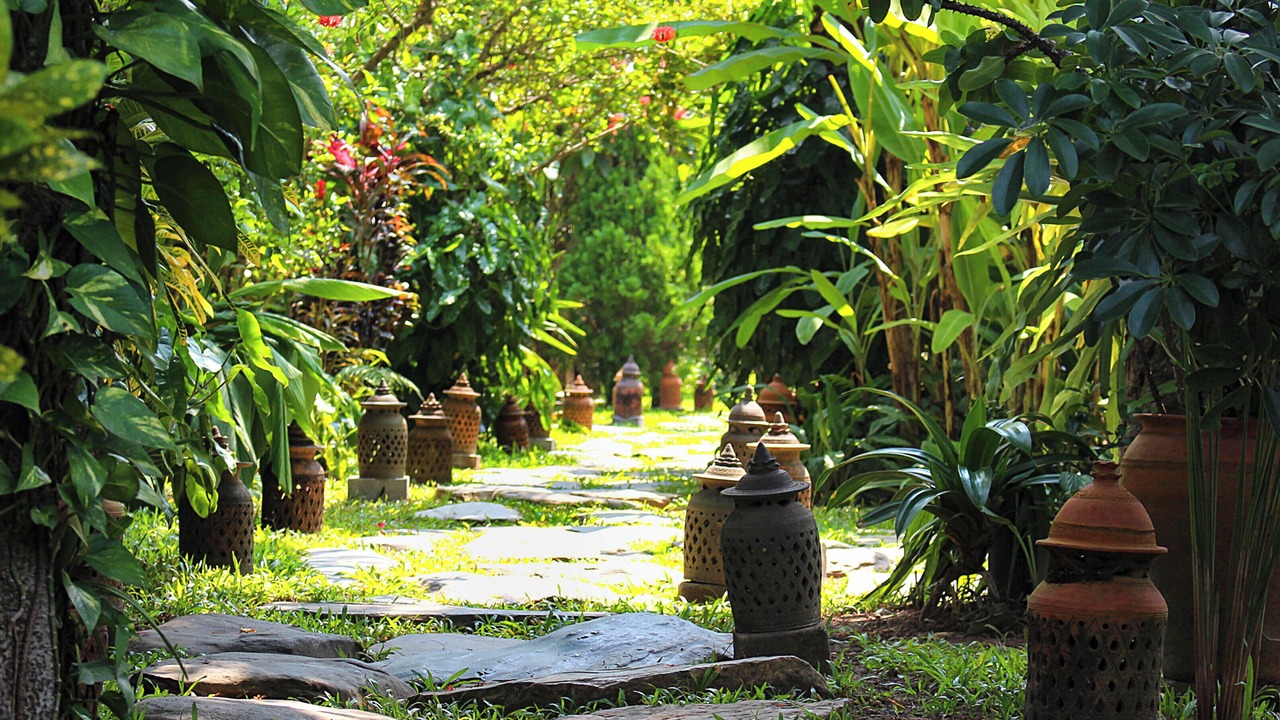 Photo of Outdoor in Luang Prabang
