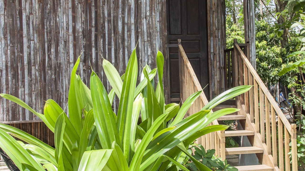 Photo of Outdoor in Siem Reap