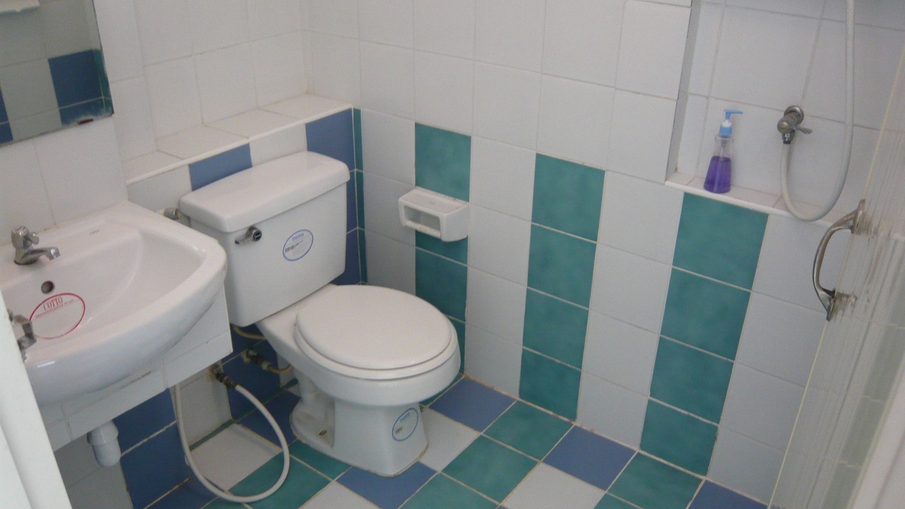 Photo of Bathroom in Anusawari