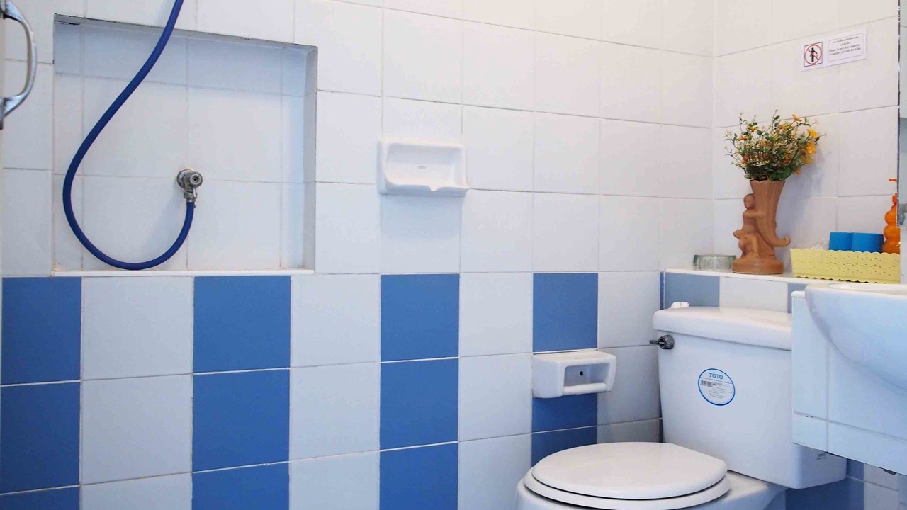 Photo of Bathroom in Anusawari